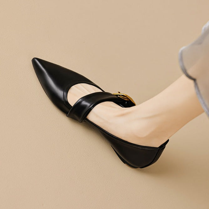 Flat Pointed Toe Metal Buckle Mary Jane Shoes