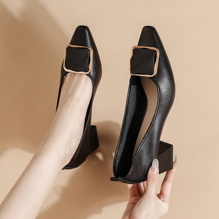 Women's Leather Pointed Toe Mid Heel Stylish Pump