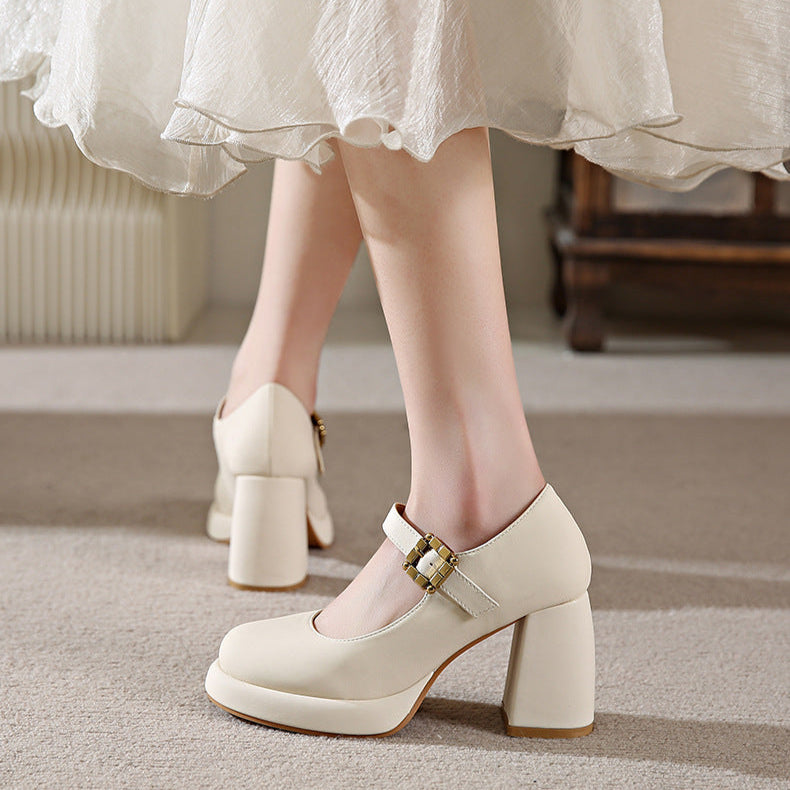 Women's Mary Jane Heels – Chunky Round Toe Stylish Dress Shoes