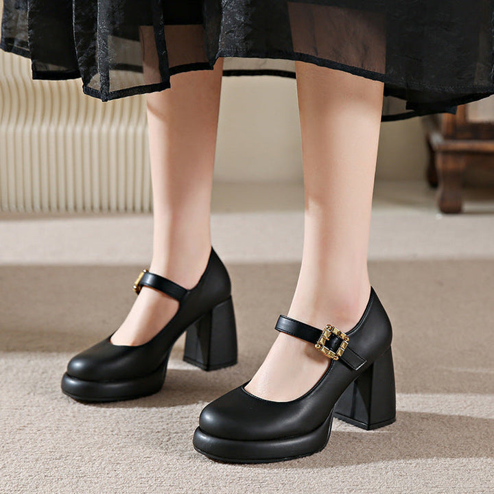 Women's Mary Jane Heels – Chunky Round Toe Stylish Dress Shoes