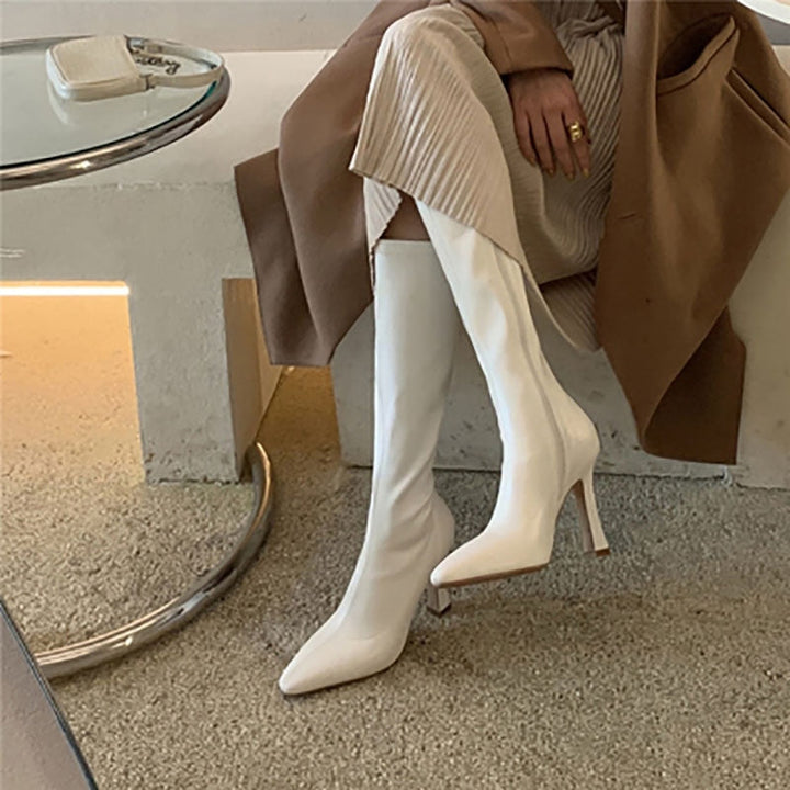 Women's Pointed Toe Zip-Up Knee Boots