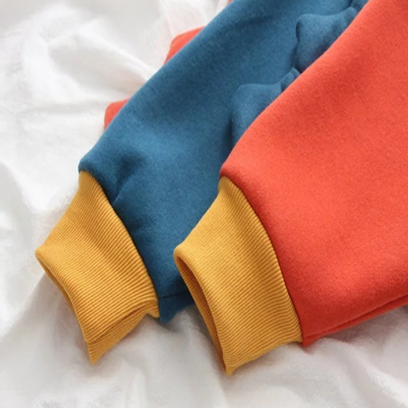Dinosaur color on sale block hoodie